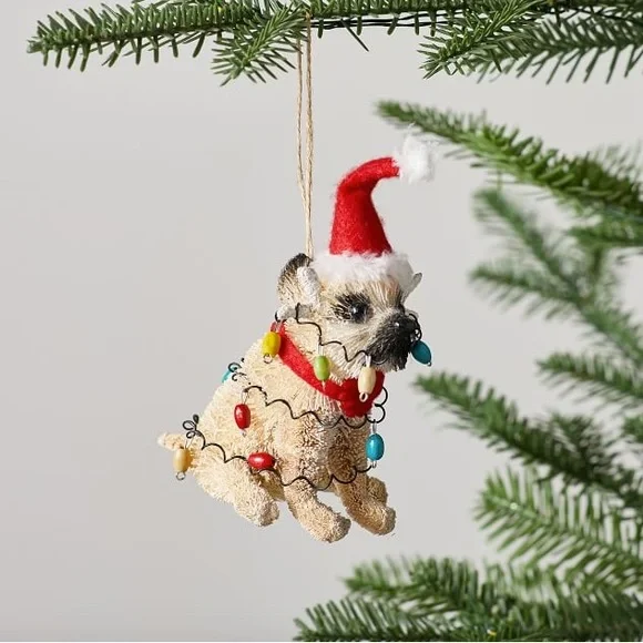 Pottery Barn | Holiday | New Pottery Barn Bottlebrush Party  display picture 1